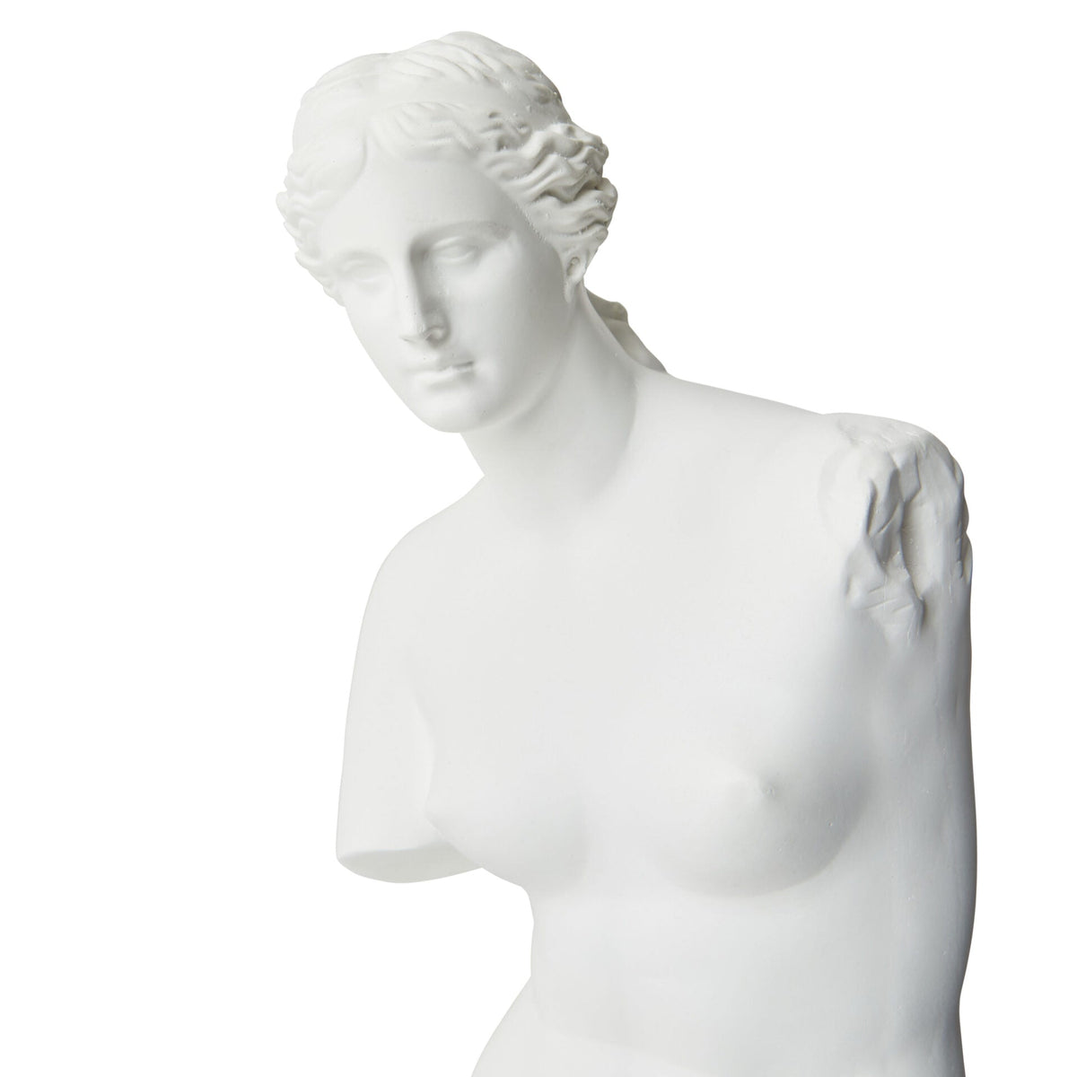 Venus Bust Statue in Resin - White - Notbrand