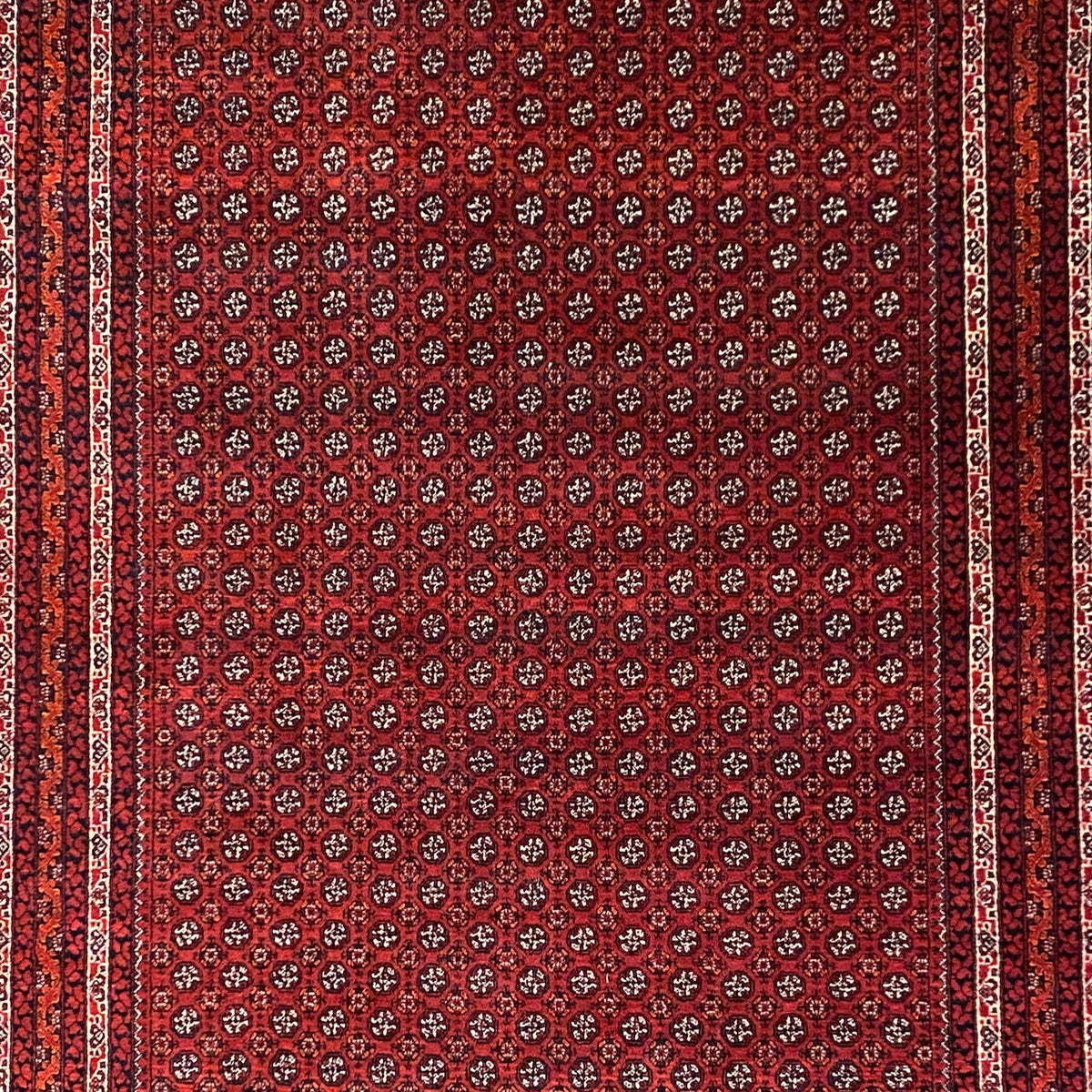Afghan Khal Mohammadi Superfine Wool Handmade Rug 2.97m - Notbrand