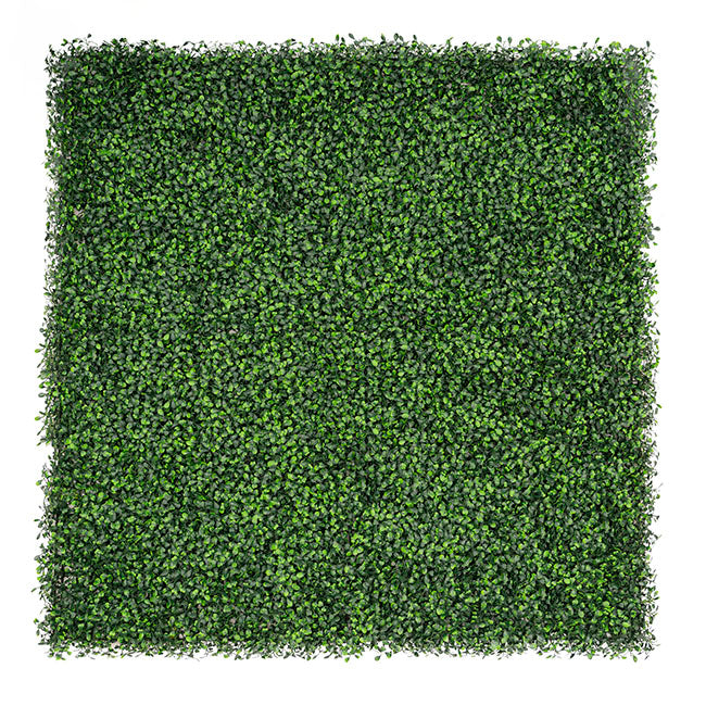 Artificial Greenery Walls - UV Treated Boxwood & Peanut Grass Wall Green (1Mx1M) - Notbrand