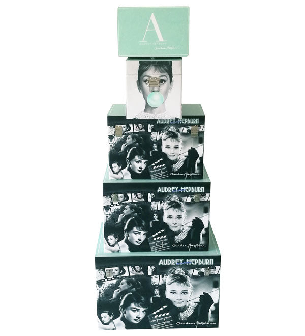 Set of 5 Audrey Hepburn Trunks Storage Boxes - NotBrand