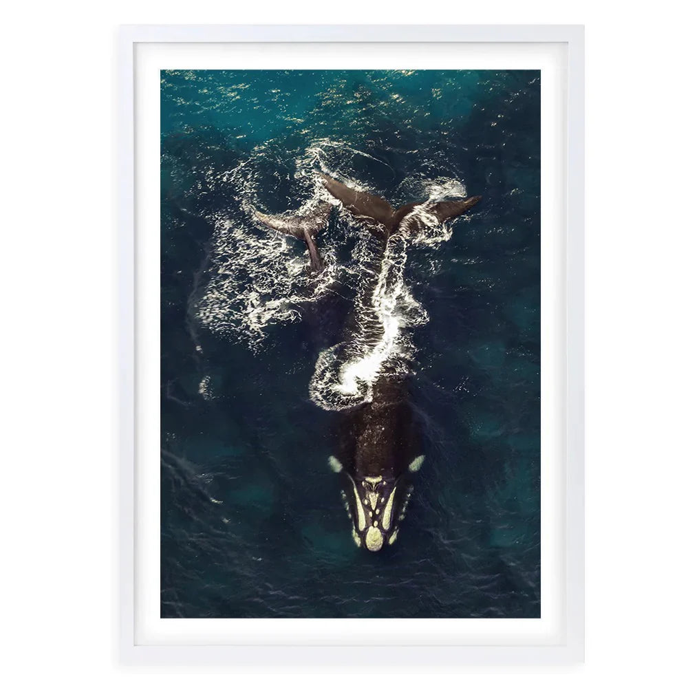 Breaking Whales A1 Framed Wall Art - Large - Notbrand