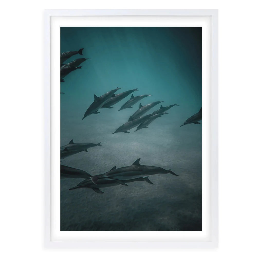 Dolphins In The Deep A1 Framed Wall Art - Large - NotBrand