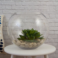 Set of 2 Glass Fish Bowl in Clear - Range - Notbrand