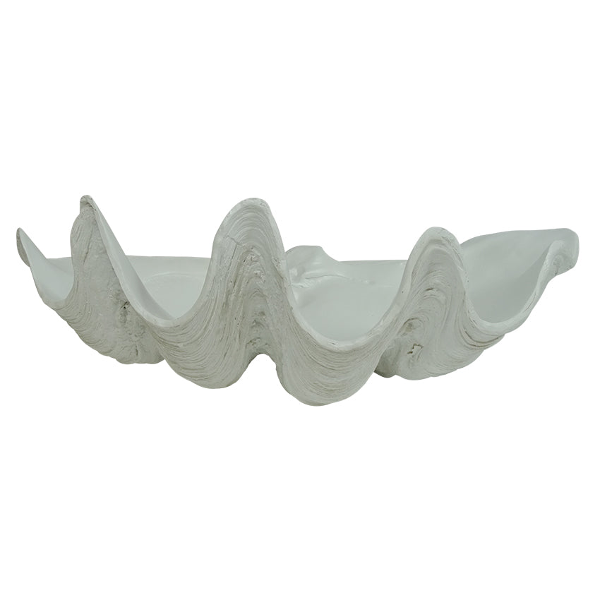 Avoca Clam Shell Sculpture Decor - 51cm - Notbrand
