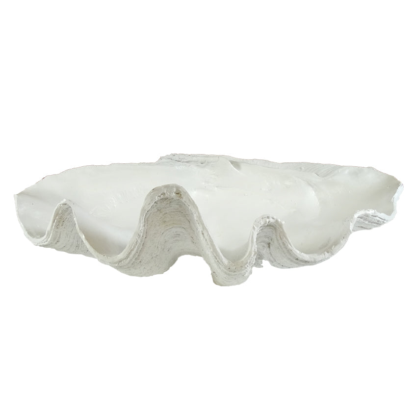 Avoca Clam Shell Sculpture - 68cm - Notbrand