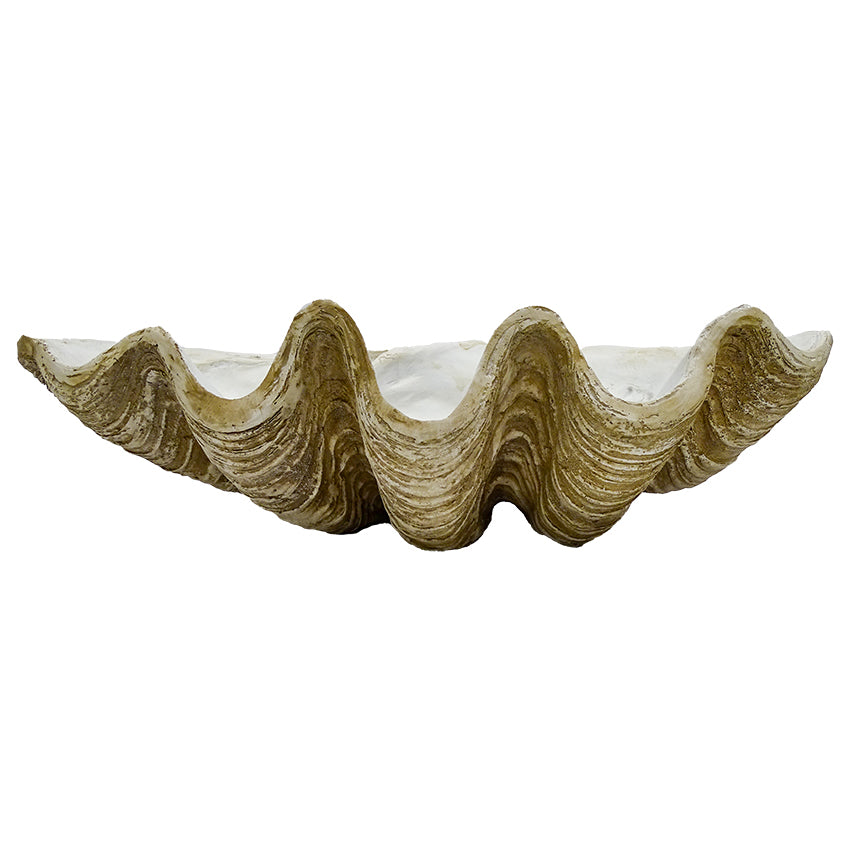 Avoca Clam Shell Sculpture Decor - 79cm - Notbrand