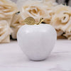 Classic Marble Apple Paperweight - White - Notbrand