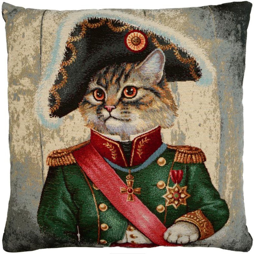 Napoleon Cat Cushion - Suede Fabric - NotBrand