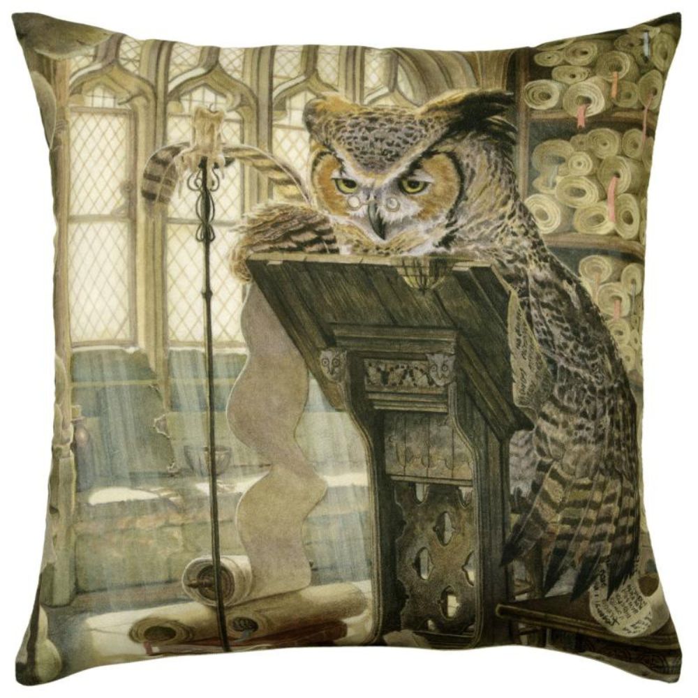 Owl Professor Pantomime Animal Cushion - NotBrand