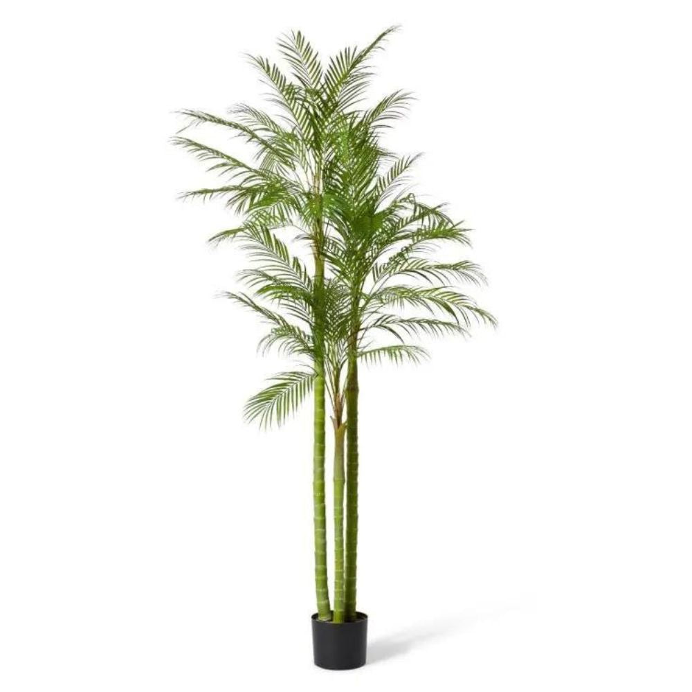 Palm Cabada in Green - 210cm - Notbrand