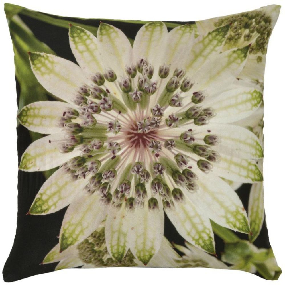 Passion Flower Botanicals Cushion - NotBrand
