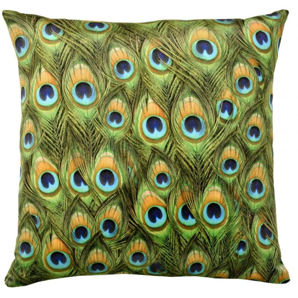Peacock Velvet Cushion - NotBrand