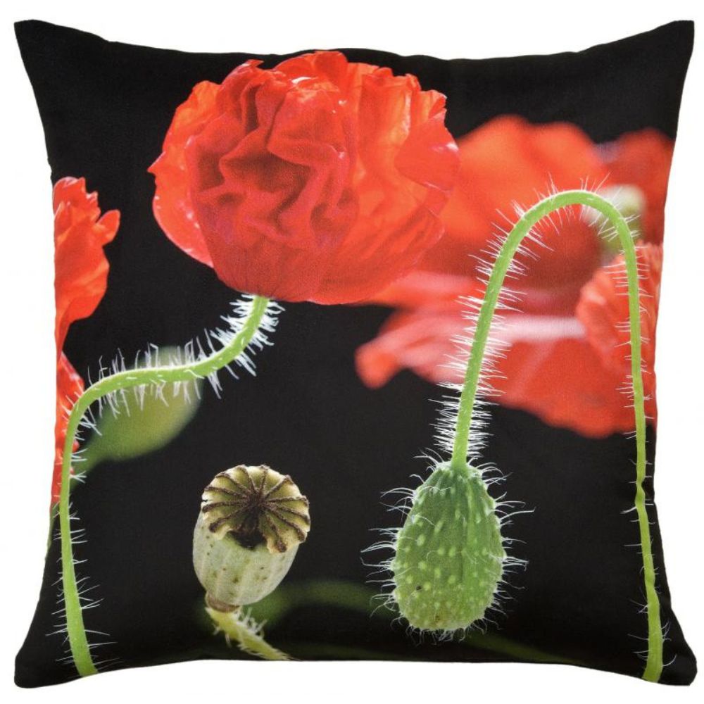 Poppies Vivid Botanicals Cushion - NotBrand