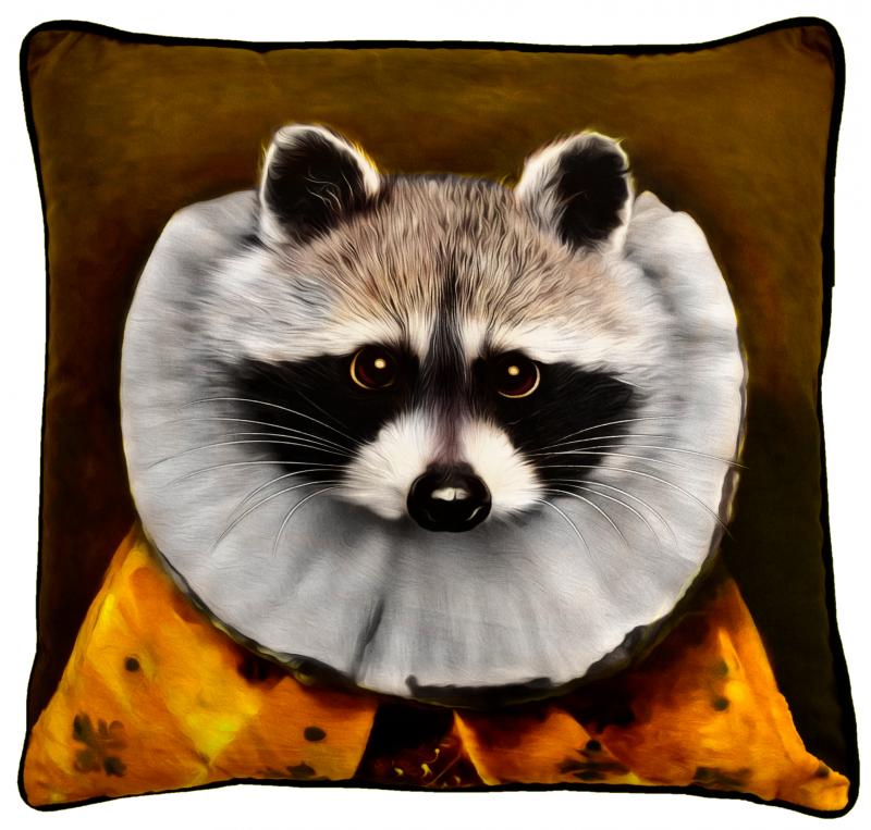 Ronnie Raccoon Cushion - Velvet Fabric - NotBrand