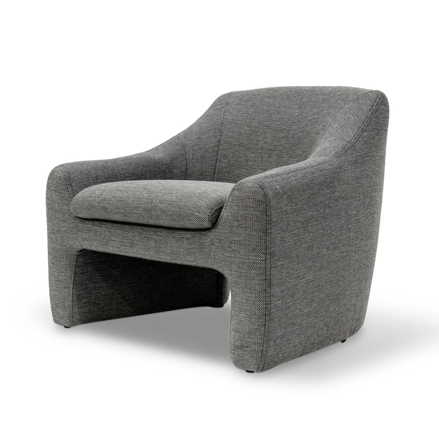 Ruphael Fabric Armchair - Graphite Grey - NotBrand