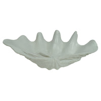 Avoca Clam Shell Sculpture - 51cm - Notbrand