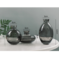Set of 3 Stylish Reagent Bottle Flower Vases - Range - Notbrand