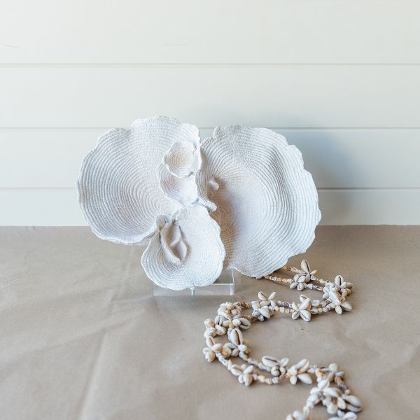 Set of 2 Gali Faux Coral Sculpture Ornament - White - Notbrand