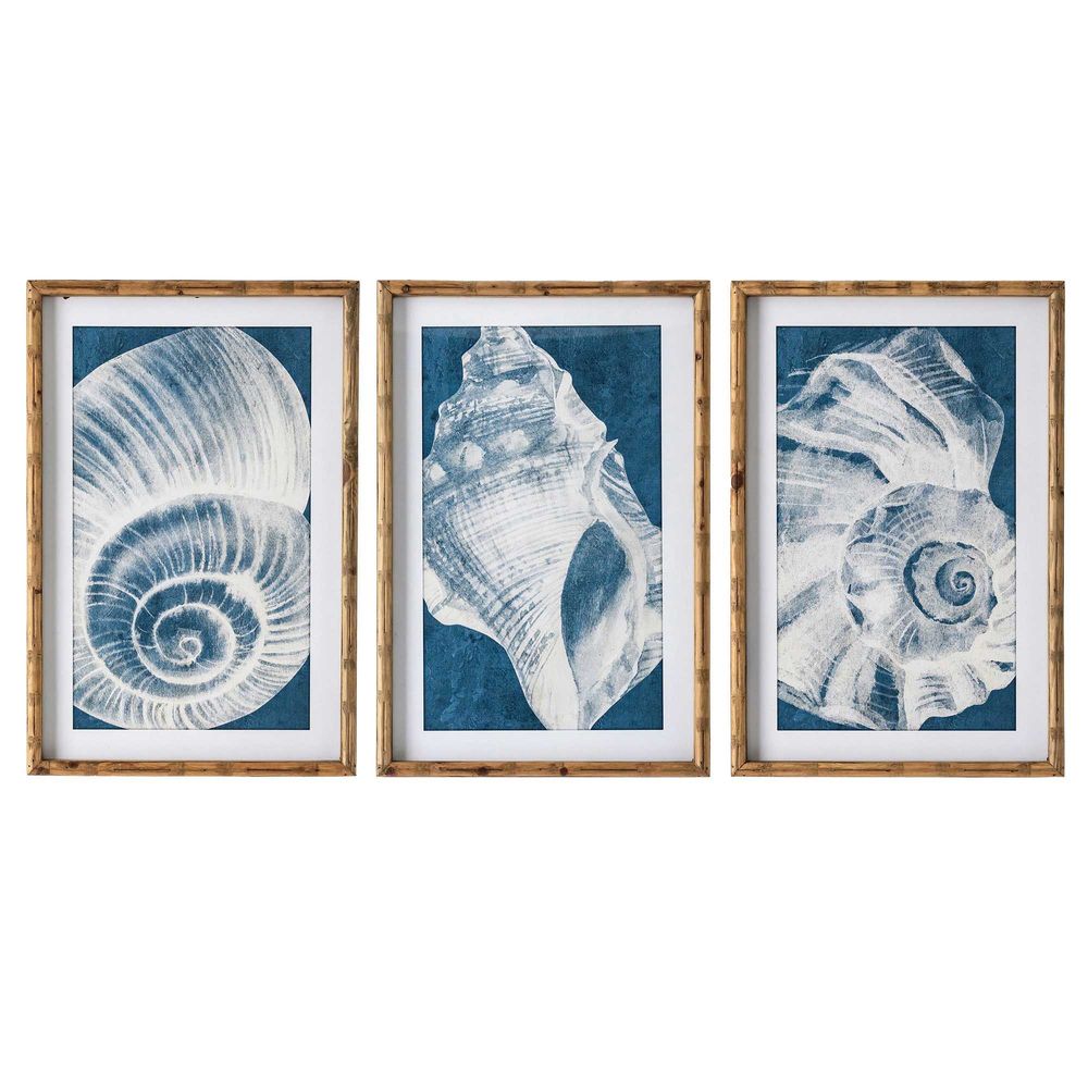 Elouera Vintage Shells Wall Art - Set of 3 - Notbrand