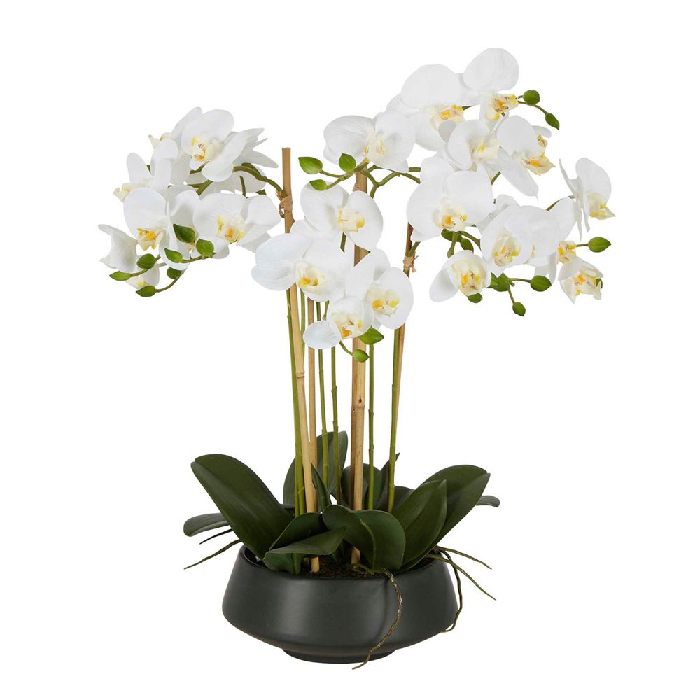 Artificial Orchid Flower in White - Large - Notbrand