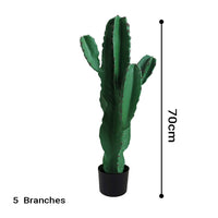 Artificial Indoor Cactus Tree with 5 Heads - 70cm - Notbrand