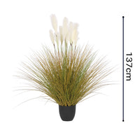 Artificial Indoor Potted Reed Bulrush Grass - 137cm - Notbrand