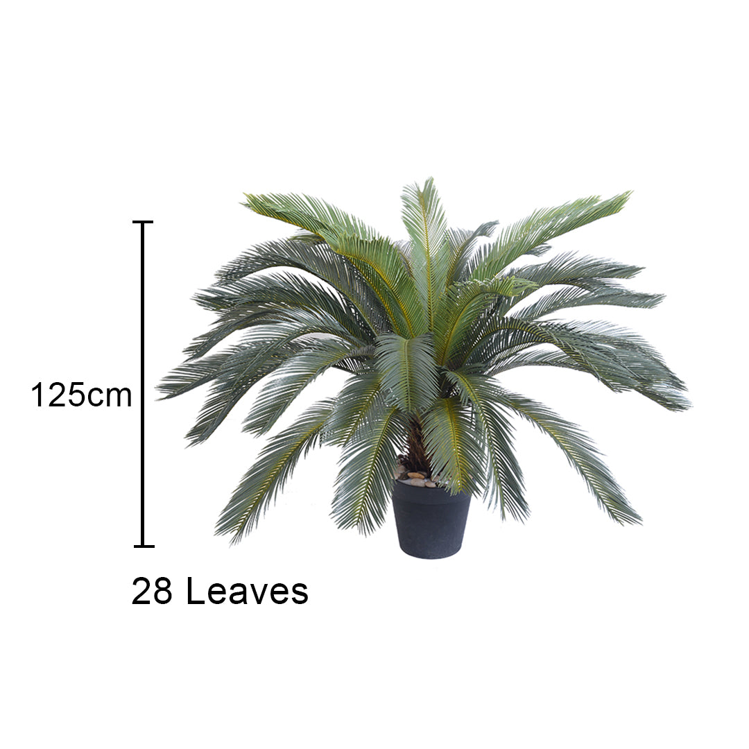 Artificial Cycas Revoluta Plant - 155cm - Notbrand