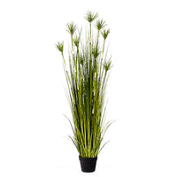Papyrus Potted Artificial Plant in Green - 150cm - Notbrand