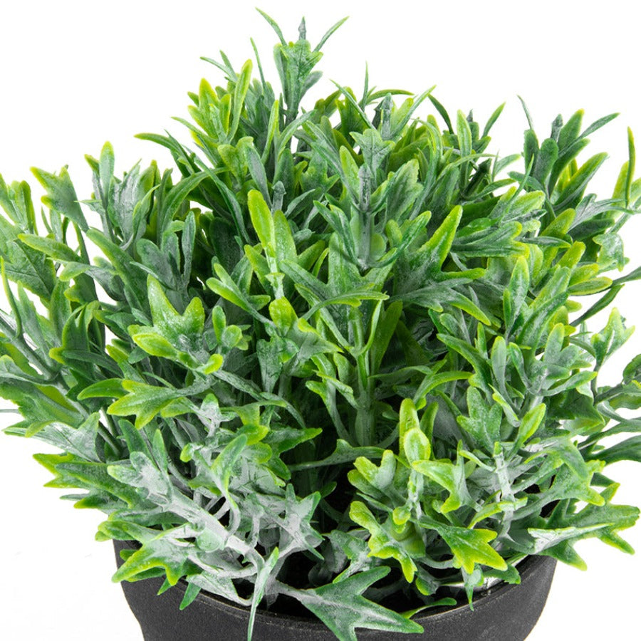 Finger Grass Artificial Potted Plant - 17cm - Notbrand