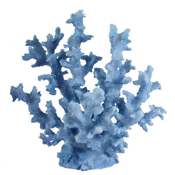 Coral Blue Seaweed - Notbrand