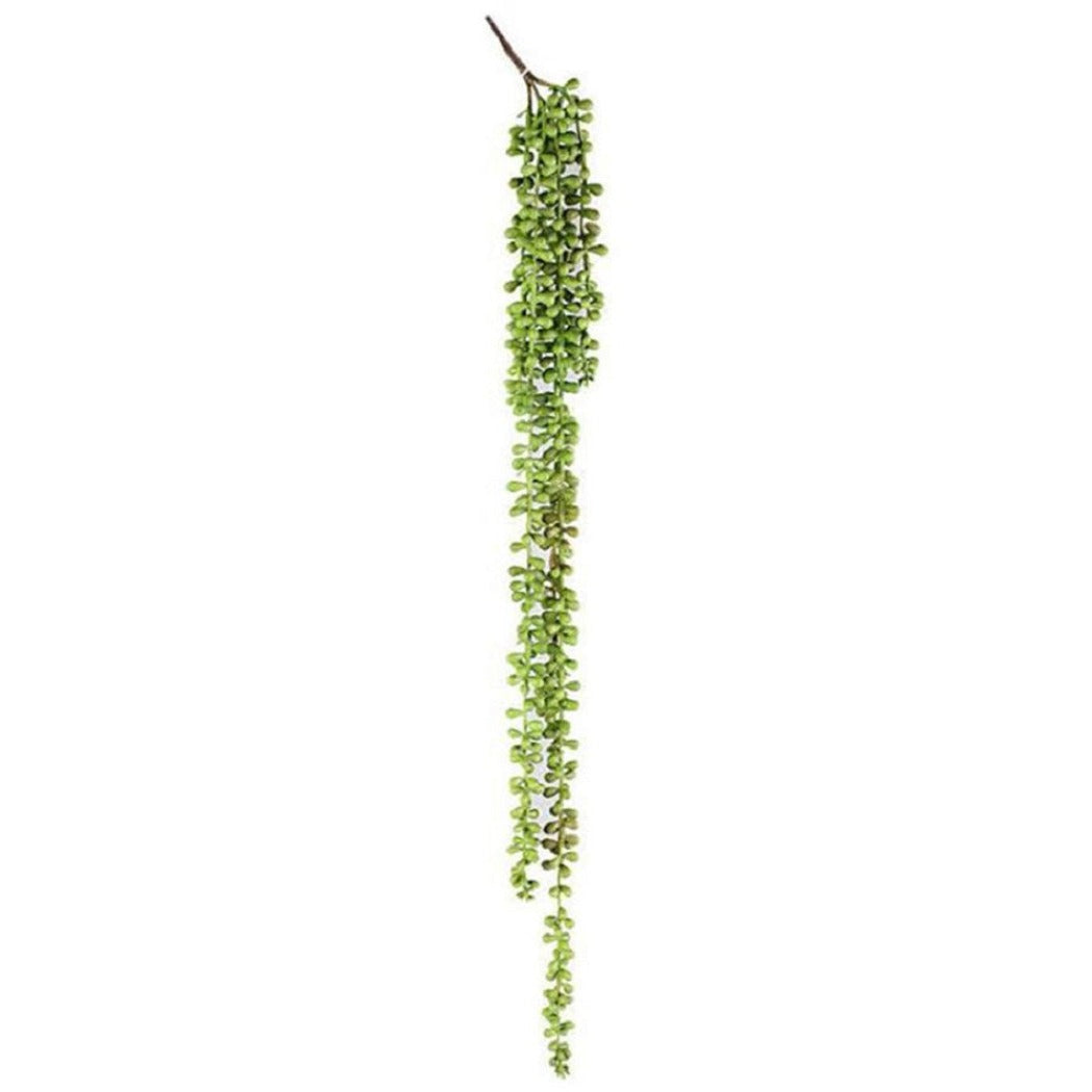 Artificial Faux String Of Pearls Plant Potted - Long - Notbrand