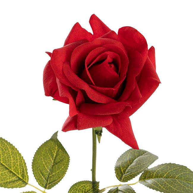 Siena Real Touch Red Rose Full Bloom Stem - 8Pcs - Notbrand