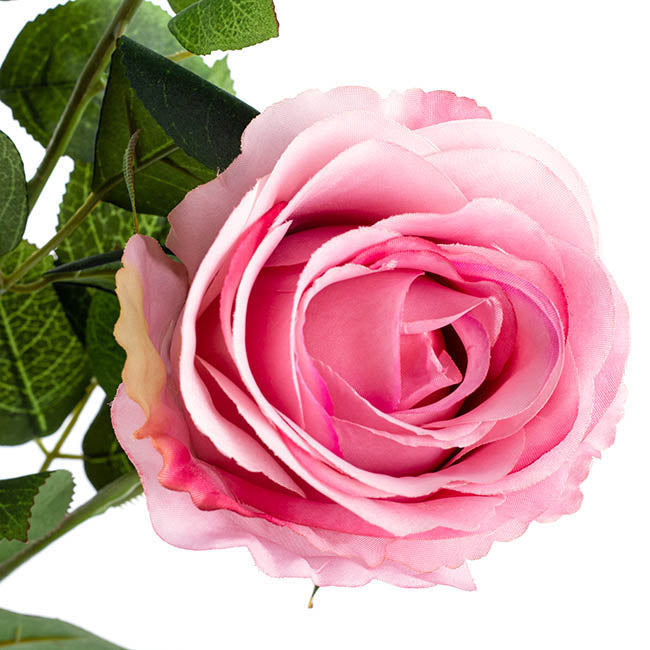Gardenia Pink Rose Spray Stem - 5 Pcs - Notbrand