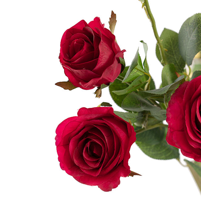 Gardenia Dark Red Rose Spray Stem - 5 Pcs - Notbrand