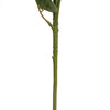 Gardenia Dark Red Rose Spray Stem - 5 Pcs - Notbrand