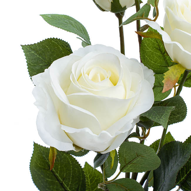 Gardenia White Rose Spray Stem - 5 Pcs - Notbrand