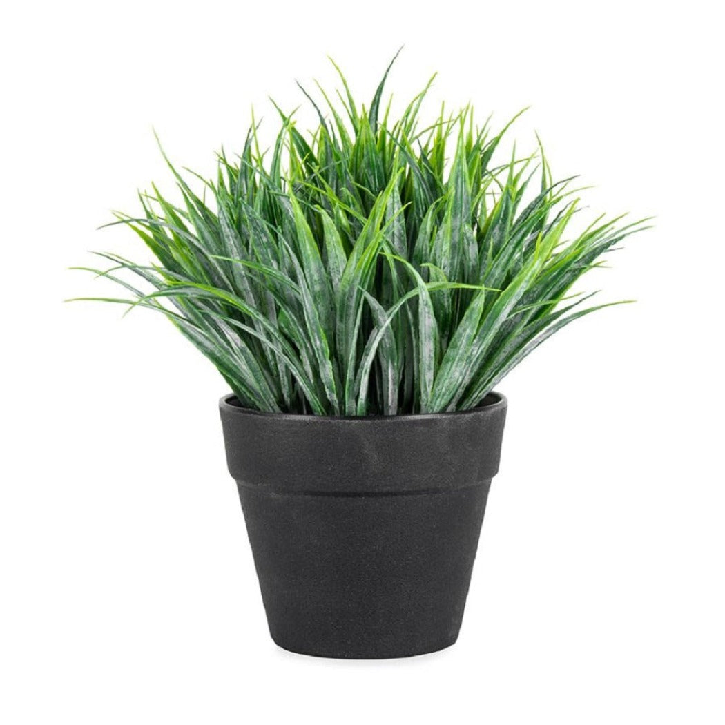 Potted Artificial Ponytail Grass New Pots in Green - 15x18cm - Notbrand