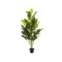 Artificial Dieffenbachia Potted Plant Fresh Look (150cmH) - Notbrand