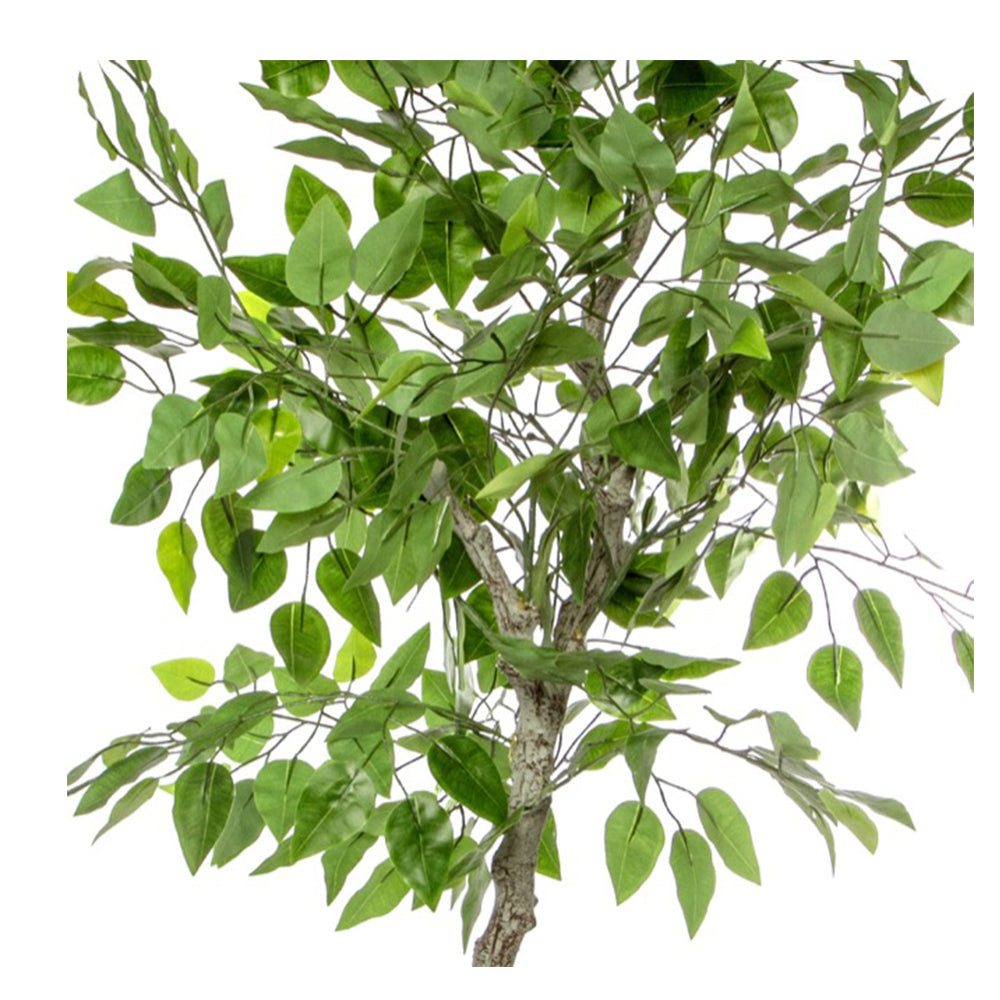 Caldor Potted Green Artificial Ficus Tree - 120cmH - Notbrand