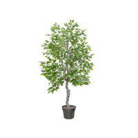 Ficus Potted Green Artificial Tree - 180cmH - Notbrand