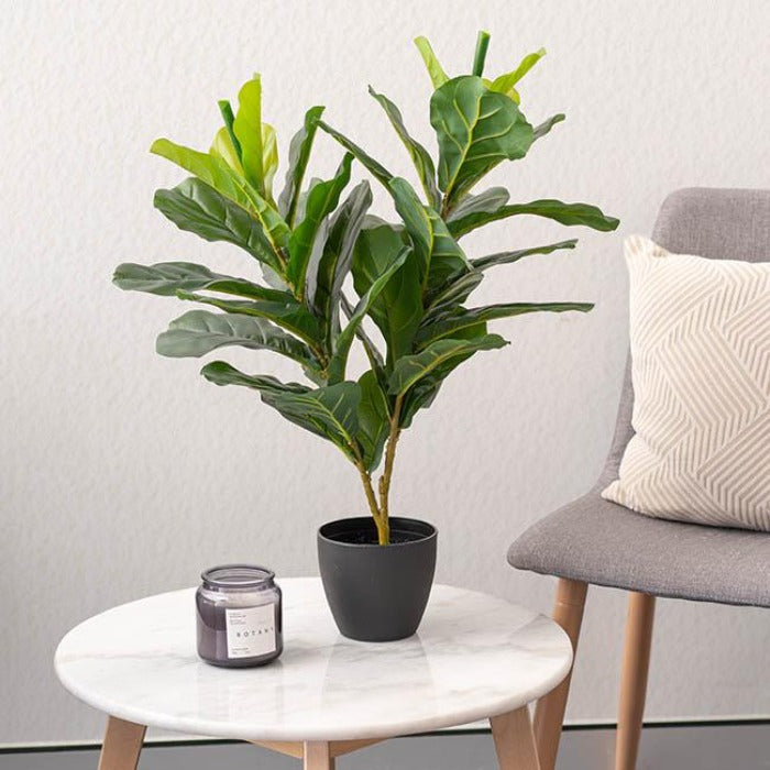Fiddle Leaf Fig Artificial Potted Plant Real Touch - 65cmH - Notbrand