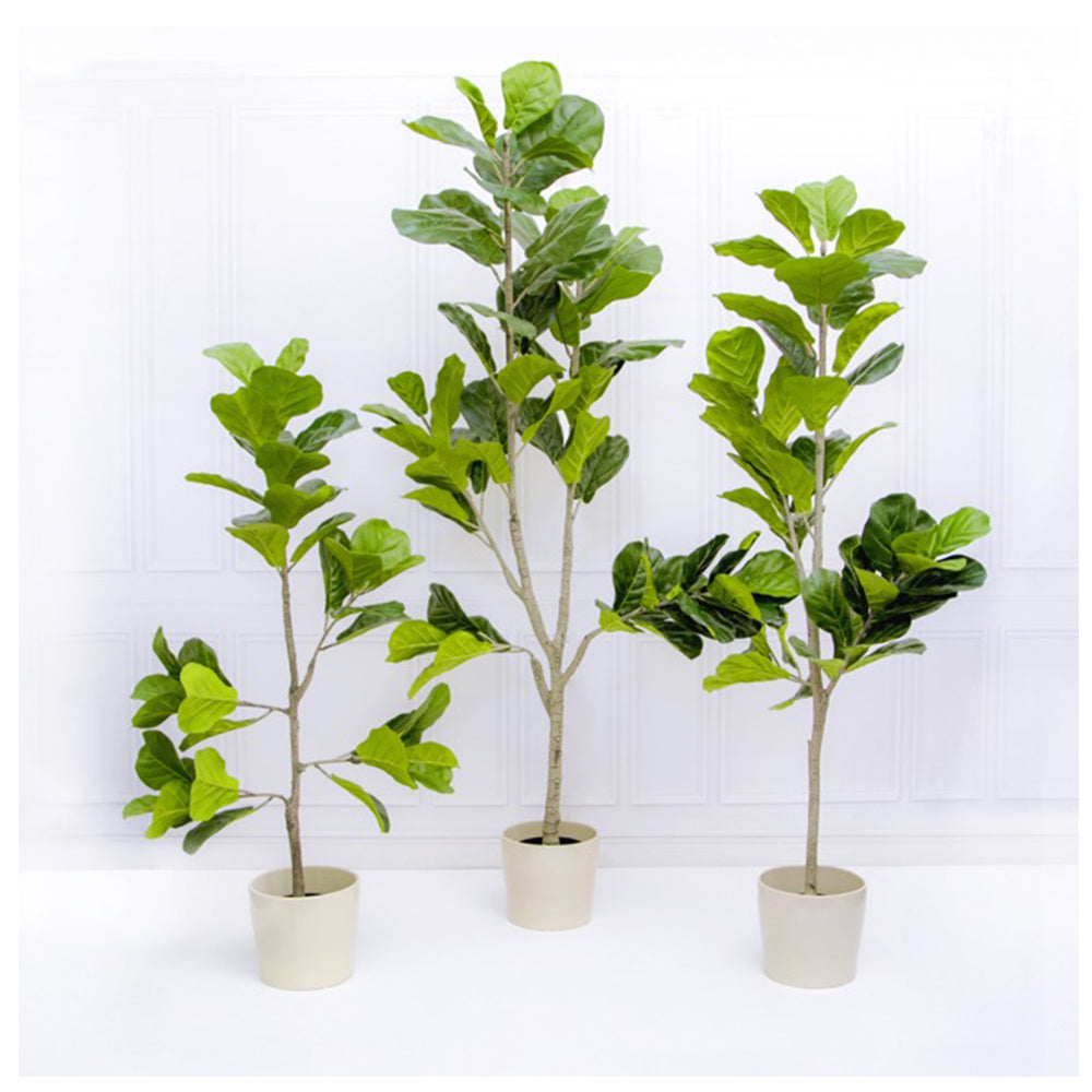 Artificial Fiddle Leaf Tree Potted Green (180cm) - Notbrand