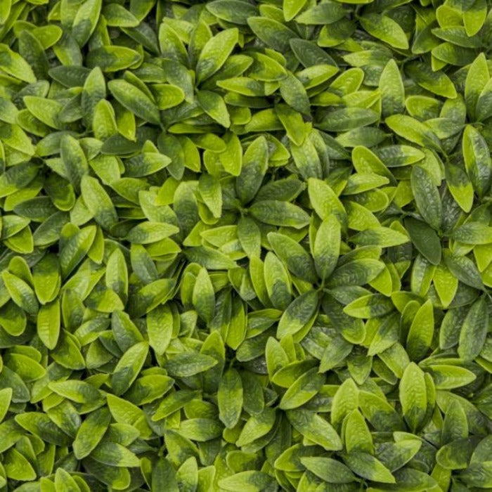 Laurel Wall Leaf Artificial - Green - Notbrand
