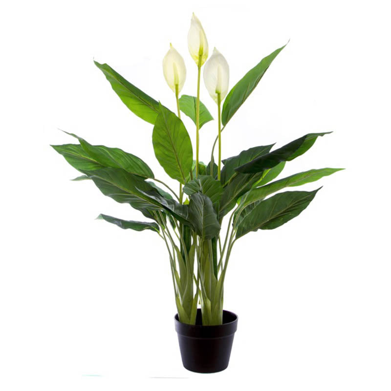 Artificial Spathiphyllum Plant Potted Green (96cm) - Notbrand