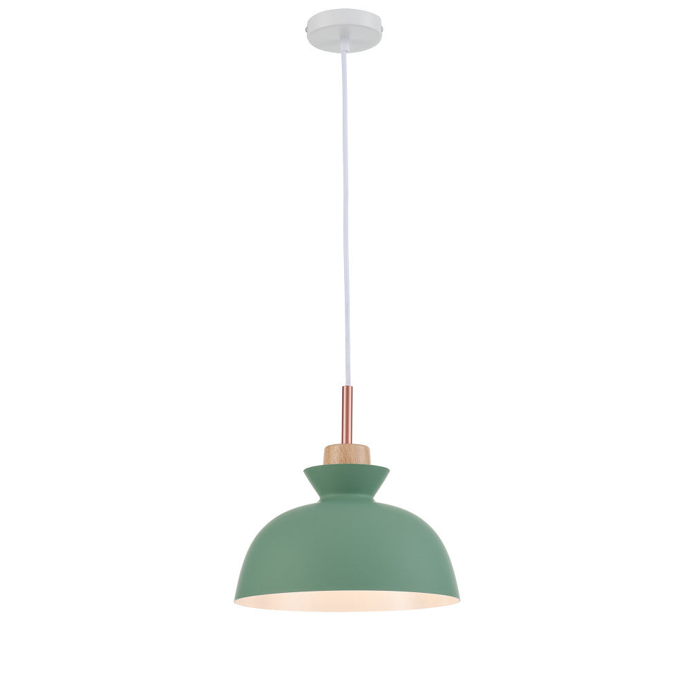 Balina Wood and Metal Pendant in Green - Type A - Notbrand