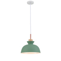 Balina Wood and Metal Pendant in Green - Type A - Notbrand