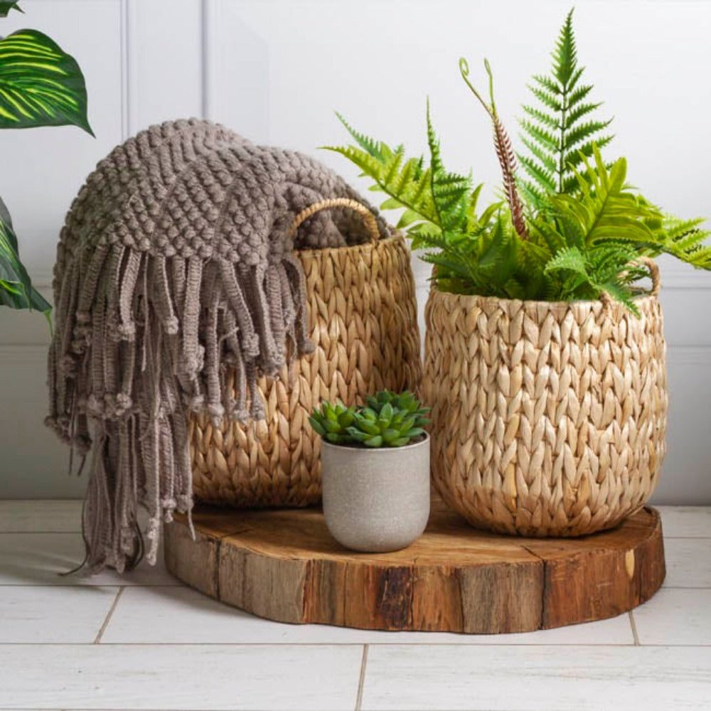 Set of 3 Fiji Seagrass Planter in Natural - Small - Notbrand