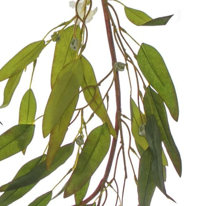 Garland Eucalyptus Willow Leaf Gumnut - Green Red - Notbrand