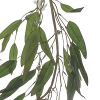 Garland Eucalyptus Willow Leaf Gumnut - Grey - Notbrand
