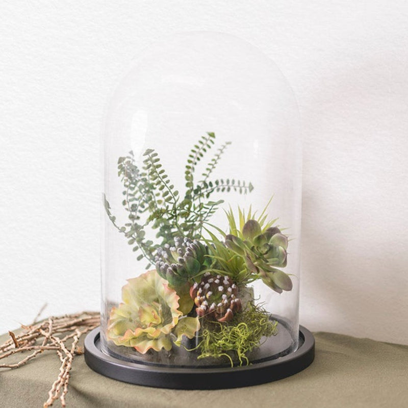 Set of 2 Glass Cloche Dome Terrarium with Ceramic Base - Large - Notbrand